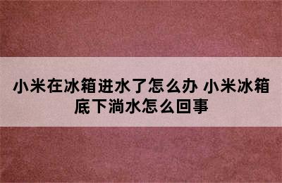 小米在冰箱进水了怎么办 小米冰箱底下淌水怎么回事